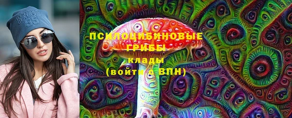 spice Лиски