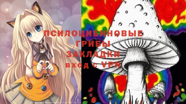 spice Лиски