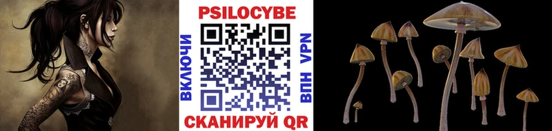 Псилоцибиновые грибы Psilocybine cubensis  Старый Оскол 